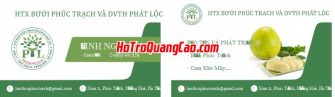 Mẫu CardVisit Đẹp 000908.cdr