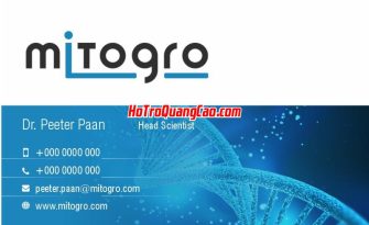 Mẫu CardVisit Đẹp 000960.cdr