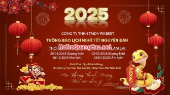 Phông nền, banner chúc mừng năm mới Tết 2025 0010