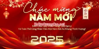 Phông nền, banner chúc mừng năm mới Tết 2025 0009