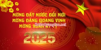 Phông nền chúc mừng năm mới Tết 2025 0037