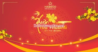 Phông nền chúc mừng năm mới, tiệc tất niên, Tết 2025 0087