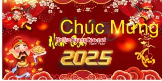 Phông nền chúc mừng năm mới, tiệc tất niên, Tết 2025 0114